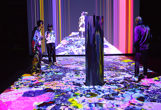 In Vitro, Desert Star, installation, 2025, production Le Fresnoy – Studio national des arts contemporains.