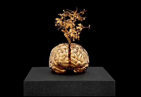 Jan Fabre, Cerveau avec arbre miniature, 2011. Bronze, 24 x 28,4 x 38,2 cm. © Angelos bvba / Jan Fabre / © Adagp Paris.