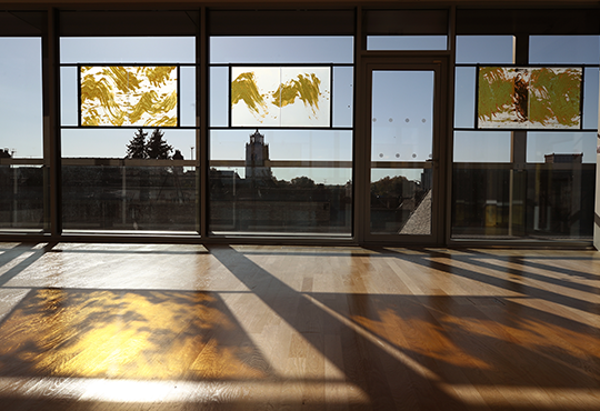 Vue de la série Topographies imaginaires au musée Camille Claudel, Fabienne Verdier, Flavie Serrière-Vincent-Petit © Christophe Deschanel