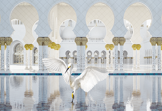 Karen Knorr, The Way of Ishq, Grand Mosque, Abu Dhabi, 2019
