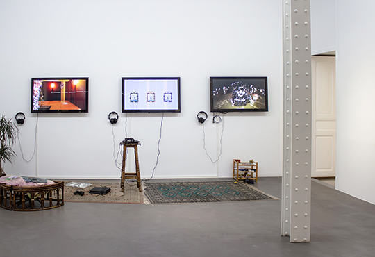 Vue in situ © Marie Charlotte Delhomme