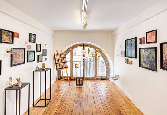 Vue in situ © Gregory Copitet