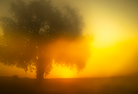 Todd Hido , 12076 - 9421 , 2020 Tirage jet d’encre pigmentaire 76,2 x 114,3 cm