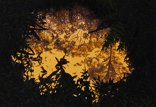  Bruno Gadenne, Le portail, 2025. 40 x 50 cm. Courtesy de l’artiste et de la Galerie Prima