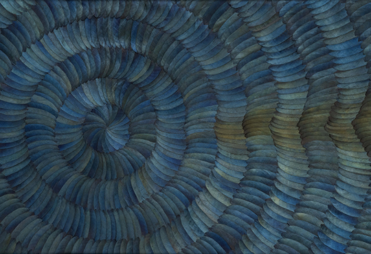 SHIVER (Shift), 2024, Technique mixte avec plumes de pie, 35 x 22 x 1 cm © Tous droits réservés
