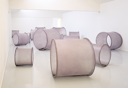 Toni Grand, Du simple au double, 1993, 17 éléments, Polyester stratifié et poisson, Diamètres : 70 cm à 120 cm, œuvre réalisée pour le musée de Céret. Achat à la Galerie Eric Fabre avec la participation du Fram en 1995 © Adagp, Paris, 2025 Crédit photographique : M. Garcia