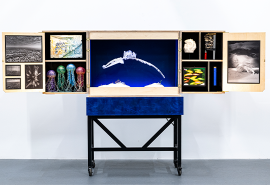Musée-valise déployé à la lumière © Thibaut Chapotot / Fondation Carmignac
