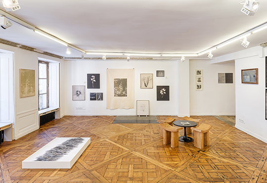 Vue in situ de l'édition 2025 © Gregory Copitet