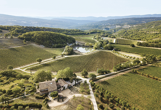 Domaine Les Davids © Tous droits réservés